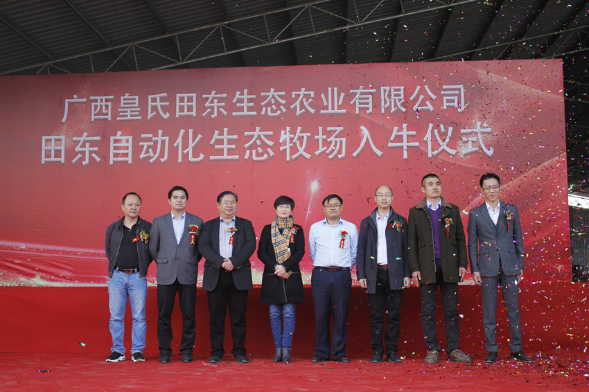 AG旗舰厅田东自动化生态牧场入牛仪式圆满完成
