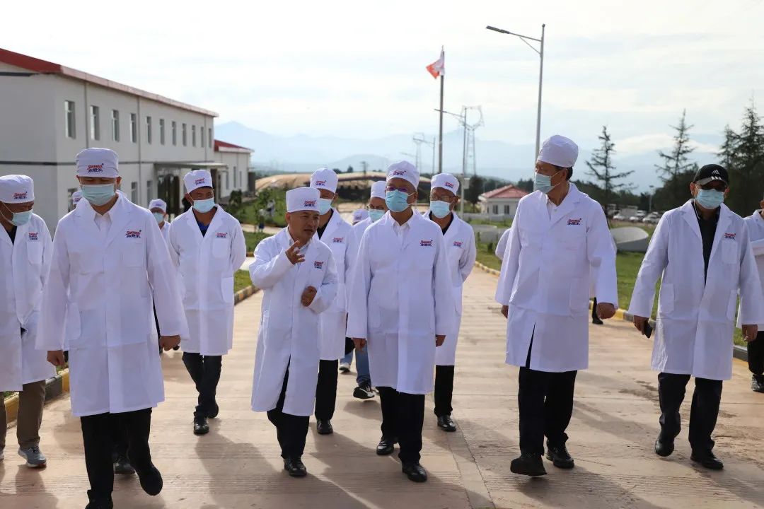 中电建集团党委副书记、总经理王斌一行赴来思尔云端牧场考察调研