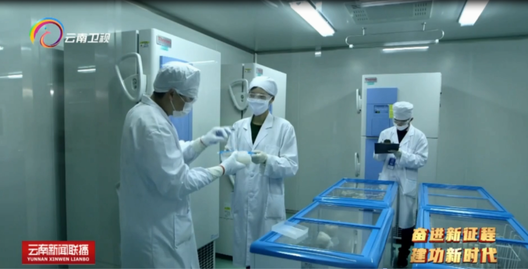 瞧！大理这杯奶，科技范儿十足