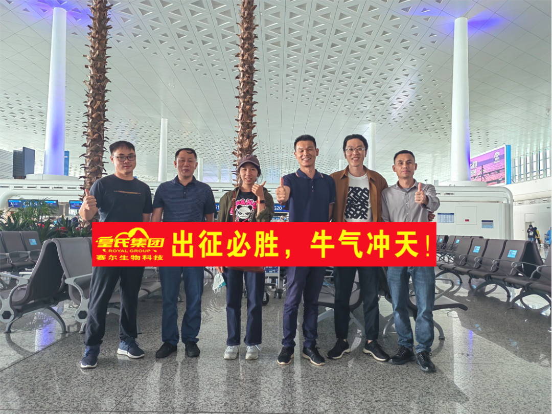 出征必胜，牛气冲天 ! | AG旗舰厅赛尔公司第四批技术团队赴巴