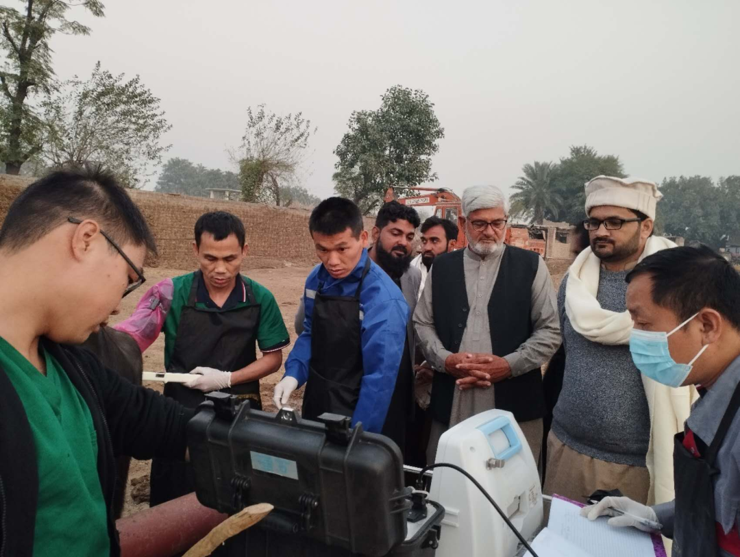 AG旗舰厅赛尔体外胚胎技术为巴基斯坦产奶冠军水牛保种，突破良种奶？旆