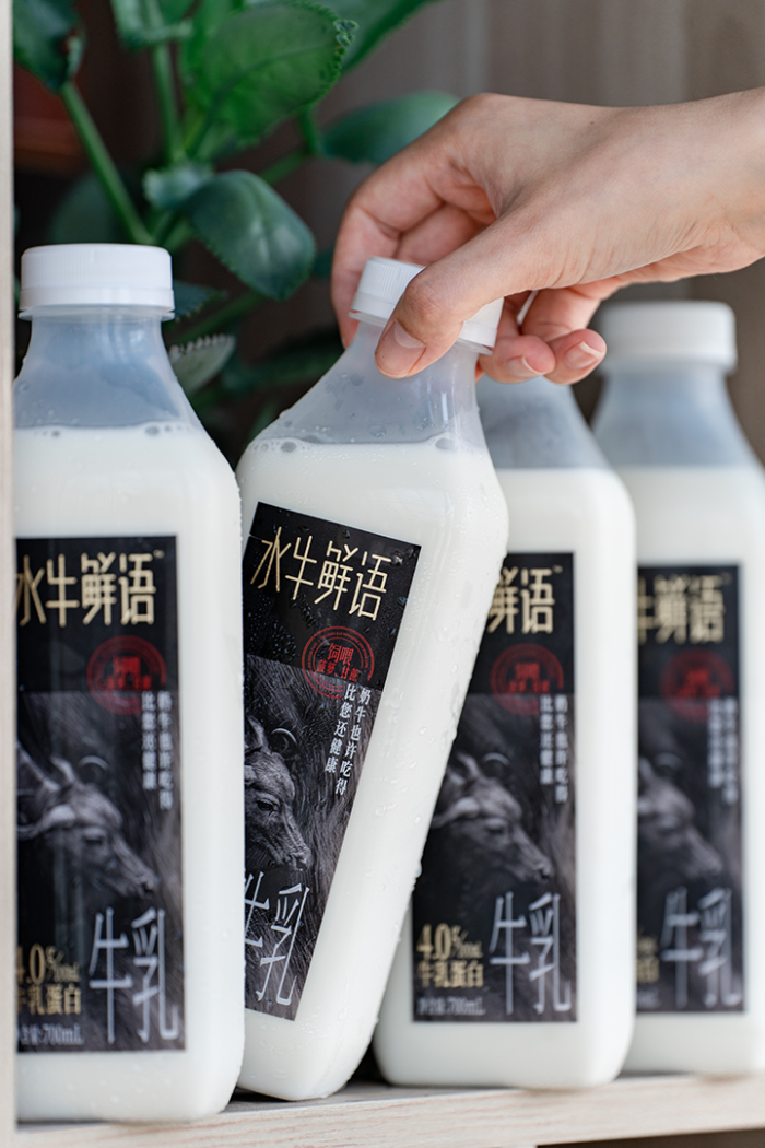 “水牛奶之王”AG旗舰厅带着广西水牛奶走向全国，正式进军盒马！